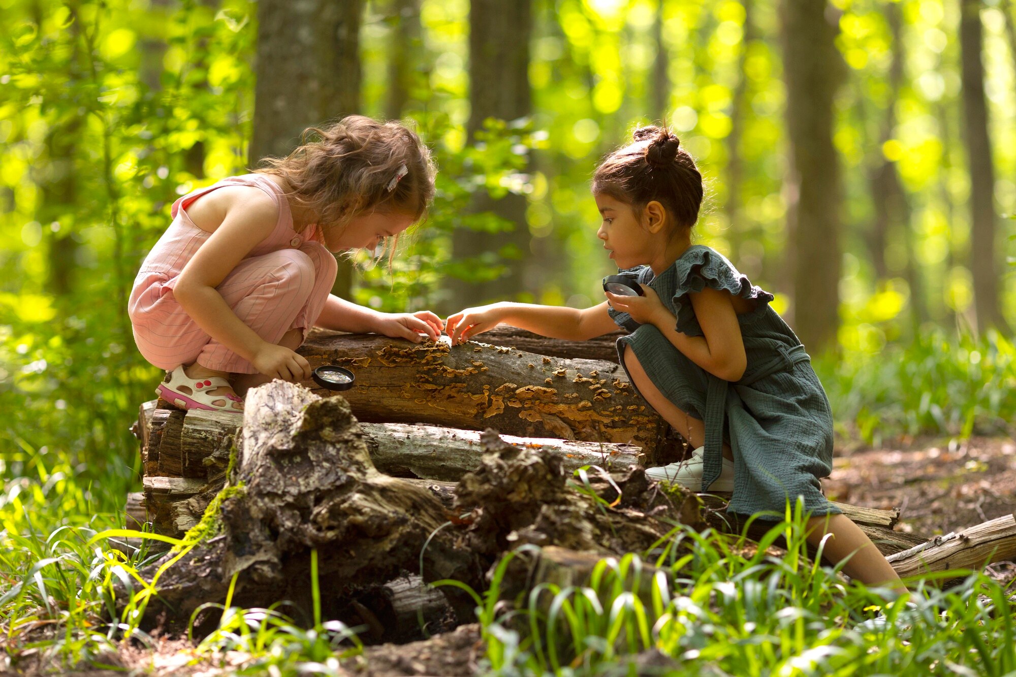 curious-kids-participating-treasure-hunt_23-2149096610 image